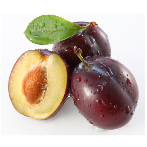 Rostliny - Švestka 'Durancie' květináč 7,5 litru, čtvrtkmen, SAMOSPRAŠNÁ