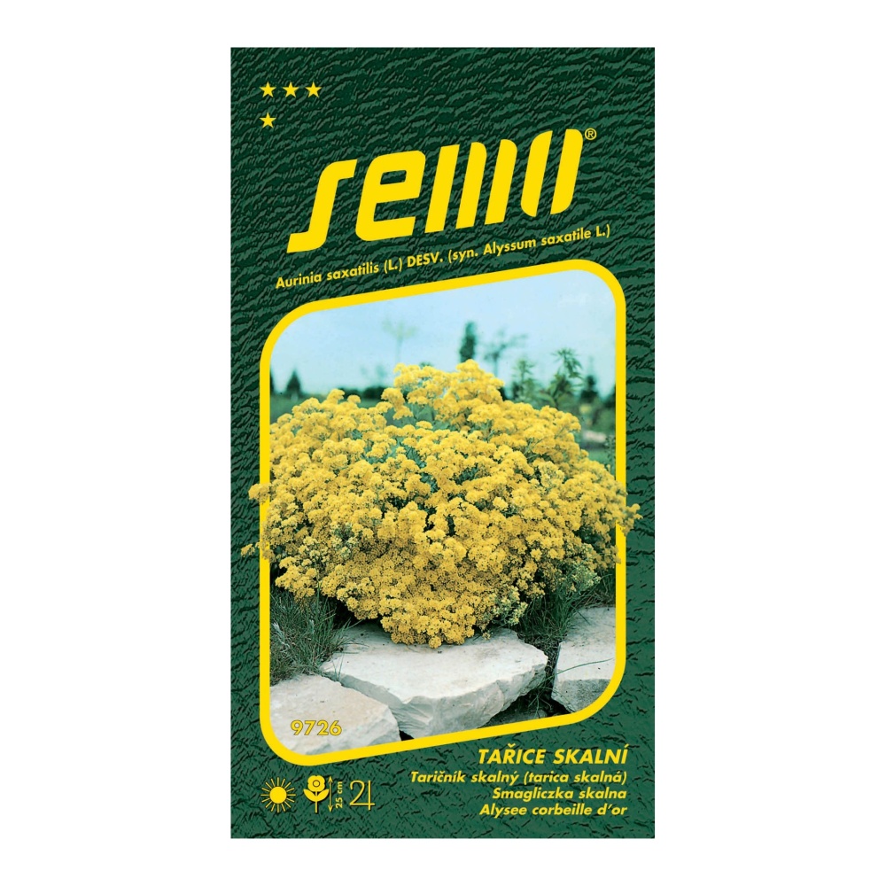 Osivo trvalek - Tařice skalní žlutá Gold Cloud