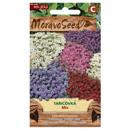 Osivo letniček - Tařicovka směs (MS)