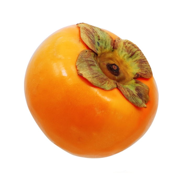 Ovocné stromky do zahrady - Tomel japonský Cioccolatino kmínek 1/2, květináč 10 litrů, částečně samosprašný