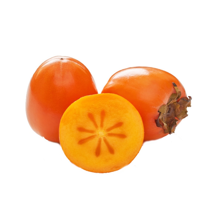 Rostliny - Tomel japonský  'Vaniglia' kmínek 1/2, květináč 18 litrů, samosprašný