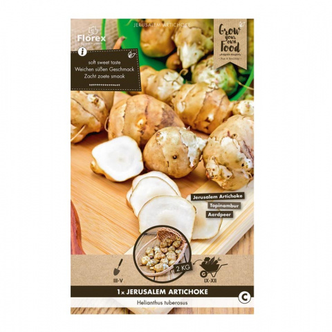 Osivo zeleniny - Topinambur 1ks