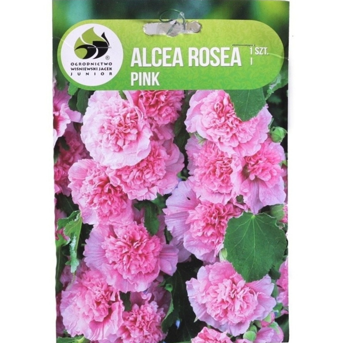 Ostatní jarní cibuloviny - Topolovka růžová Pink 1ks