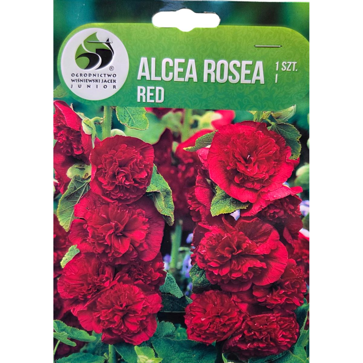 Ostatní jarní cibuloviny - Topolovka růžová 'Red' 1ks