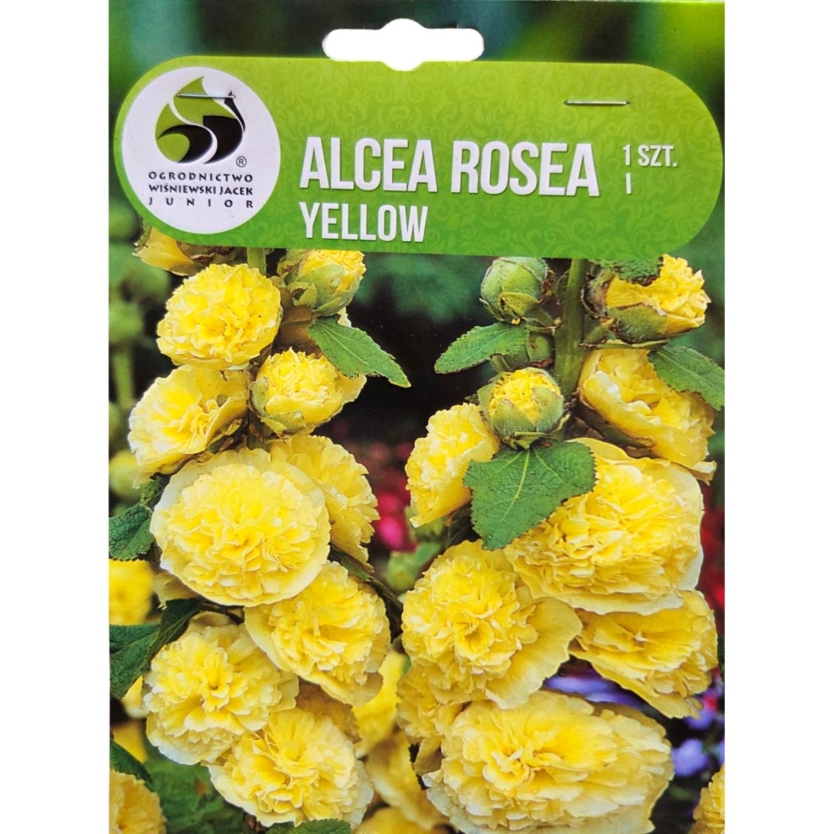 Ostatní jarní cibuloviny - Topolovka růžová 'Yellow' 1ks