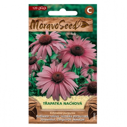 Osivo trvalek - Třapatka nachová (MS)