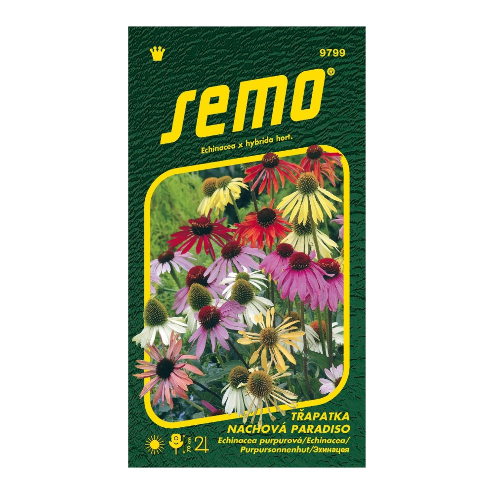 Osivo trvalek - Třapatka nachová Paradiso