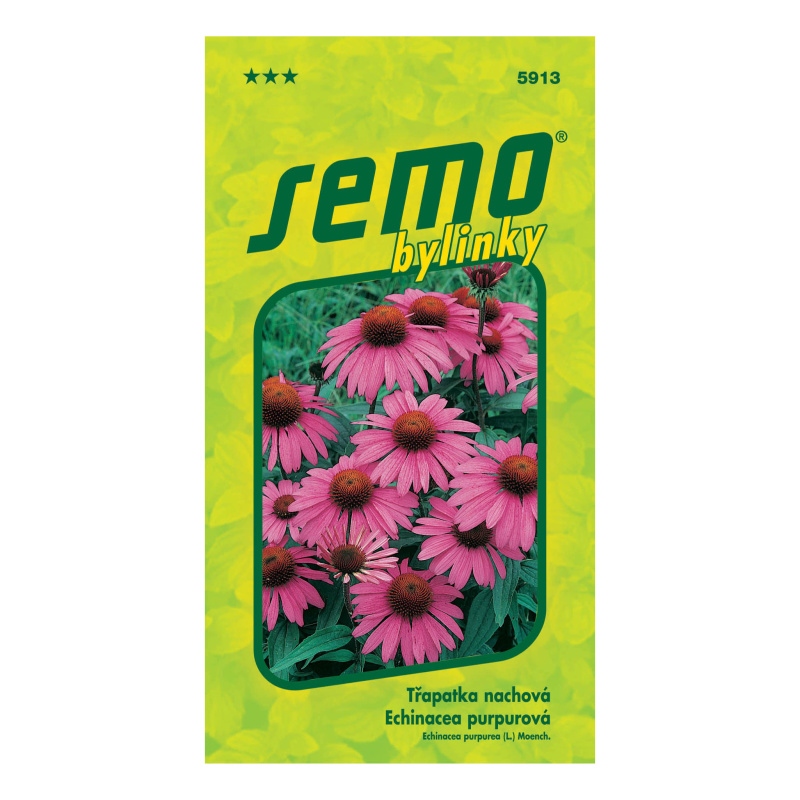Třapatka nachová Rudbékie (Echinacea)-0