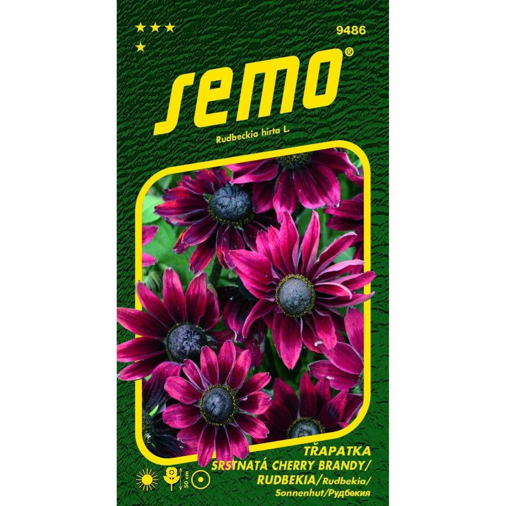 Osivo trvalek - Třapatka srstnatá Cherry Brandy