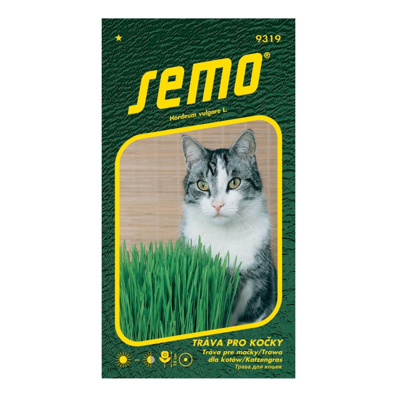 Tráva pro kočky-0