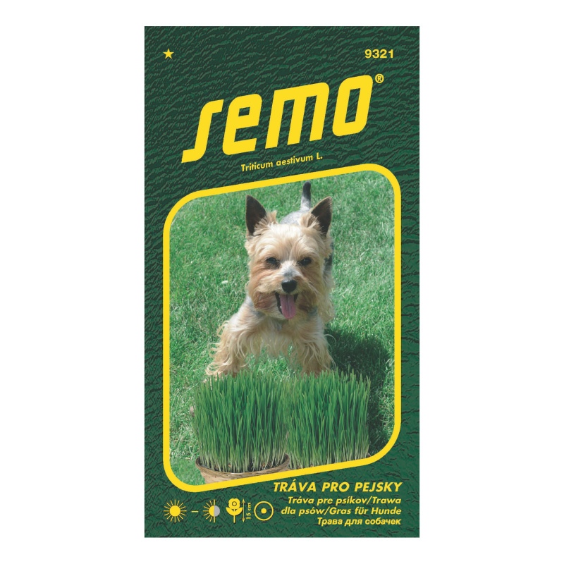 Tráva pro pejsky-0