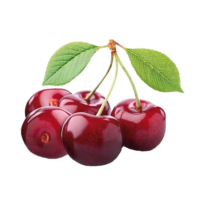 Třešeň Burlat květináč 6 litrů, výška 150/175cm, stromek, CIZOSPRAŠNÁ-0