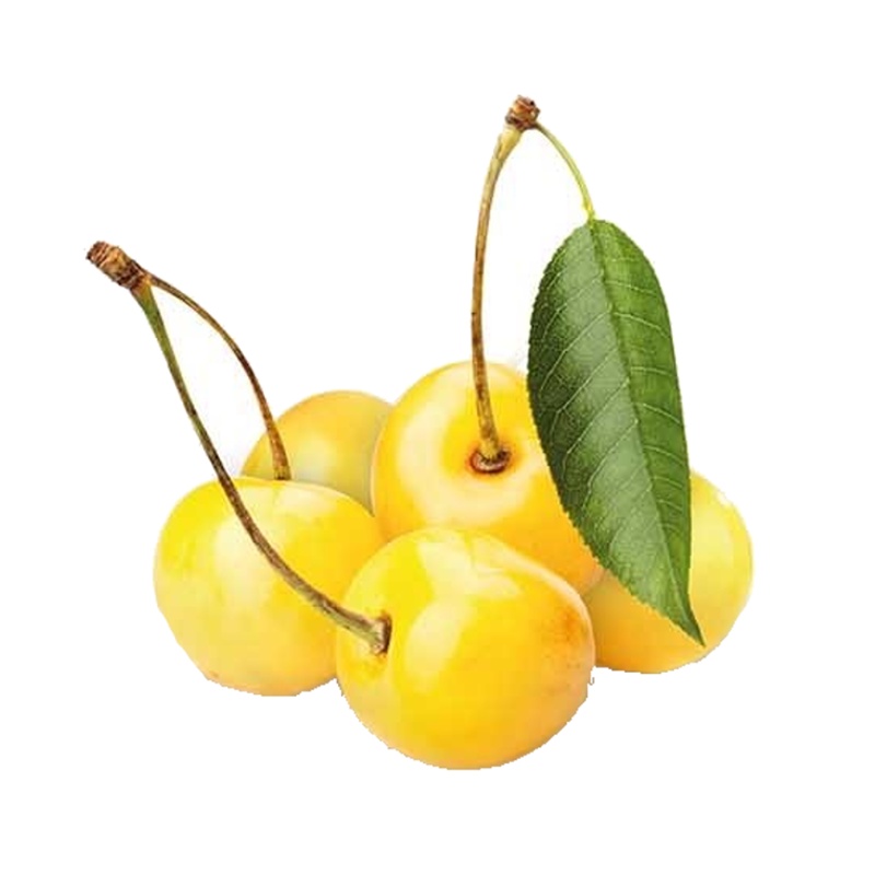 Třešeň Denisenova žlutá květináč 6 litrů, výška 150/175cm, stromek, CIZOSPRAŠNÁ-0