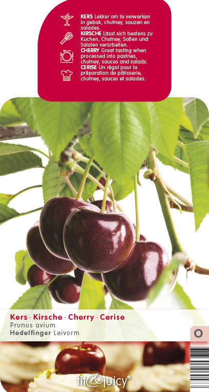 Ovocné stromky do zahrady - Třešeň 'Hedelfingenská' květináč 6 litrů, výška 150/175cm, stromek, CIZOSPRAŠNÁ