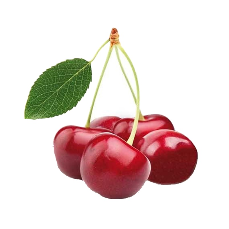 Třešeň Kordia květináč 5 litrů, balkonová, zákrsek, CIZOSPRAŠNÁ-0