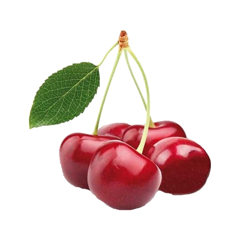 Třešeň Kordia květináč 6 litrů, výška 150/175cm, stromek, CIZOSPRAŠNÁ-0