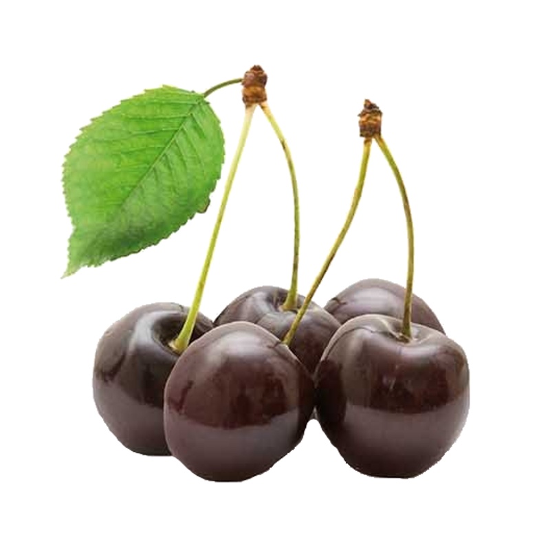 Třešeň Regina květináč 5 litrů, balkonová, zákrsek, CIZOSPRAŠNÁ-0