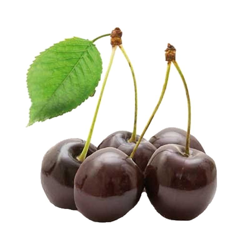 Třešeň Regina květináč 6 litrů, výška 150/175cm, stromek, CIZOSPRAŠNÁ-0