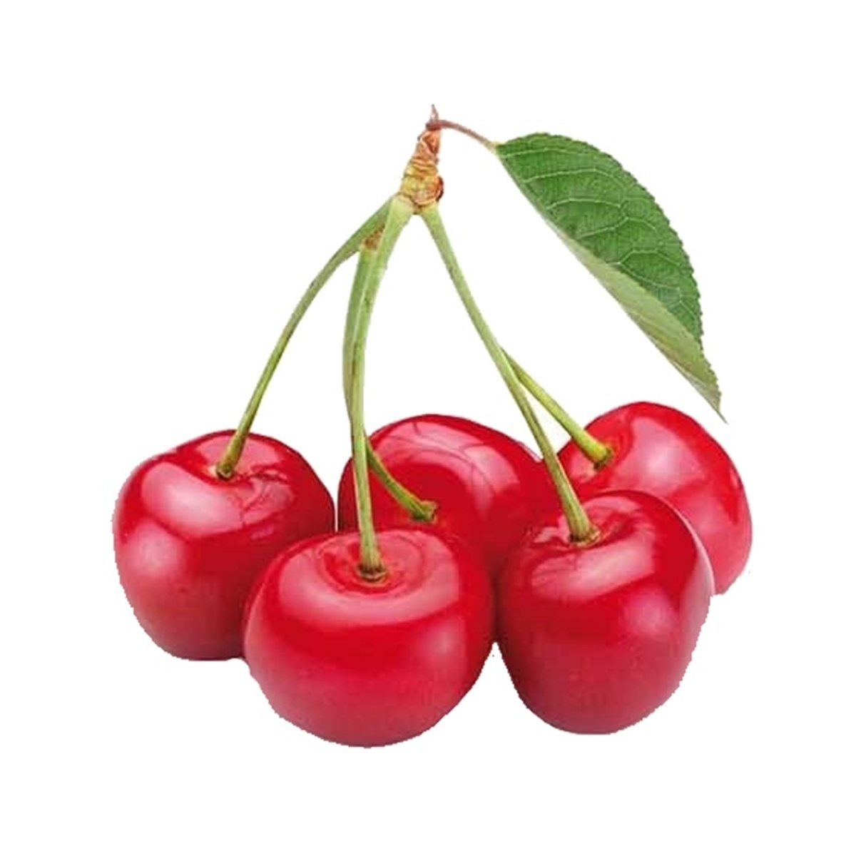 Ovocné stromky do zahrady - Třešeň Sunburst obvod kmene 10/12cm, samosprašná