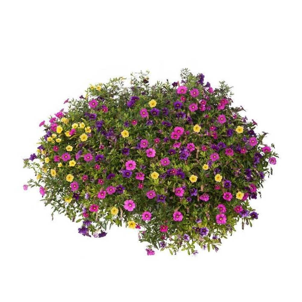 Květinové truhlíky - Tříbarevná hra Lechuza