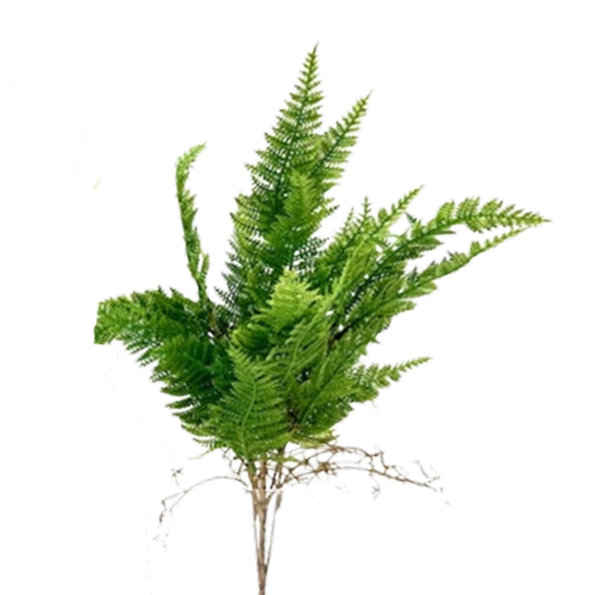 Celoroční umělé květiny - Trs umělého kapradí 63cm