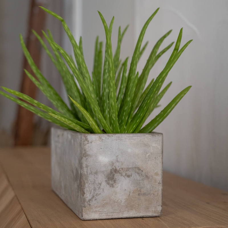 Truhlík hranatý ALICE M betonový šedý 21cm-0