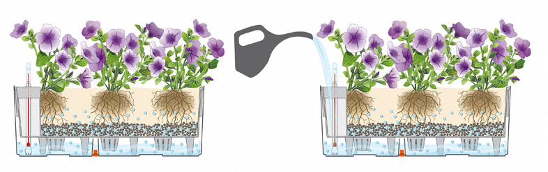 Truhlík Lechuza BALCONERA Cottage 80cm komplet set žulová šeď-3