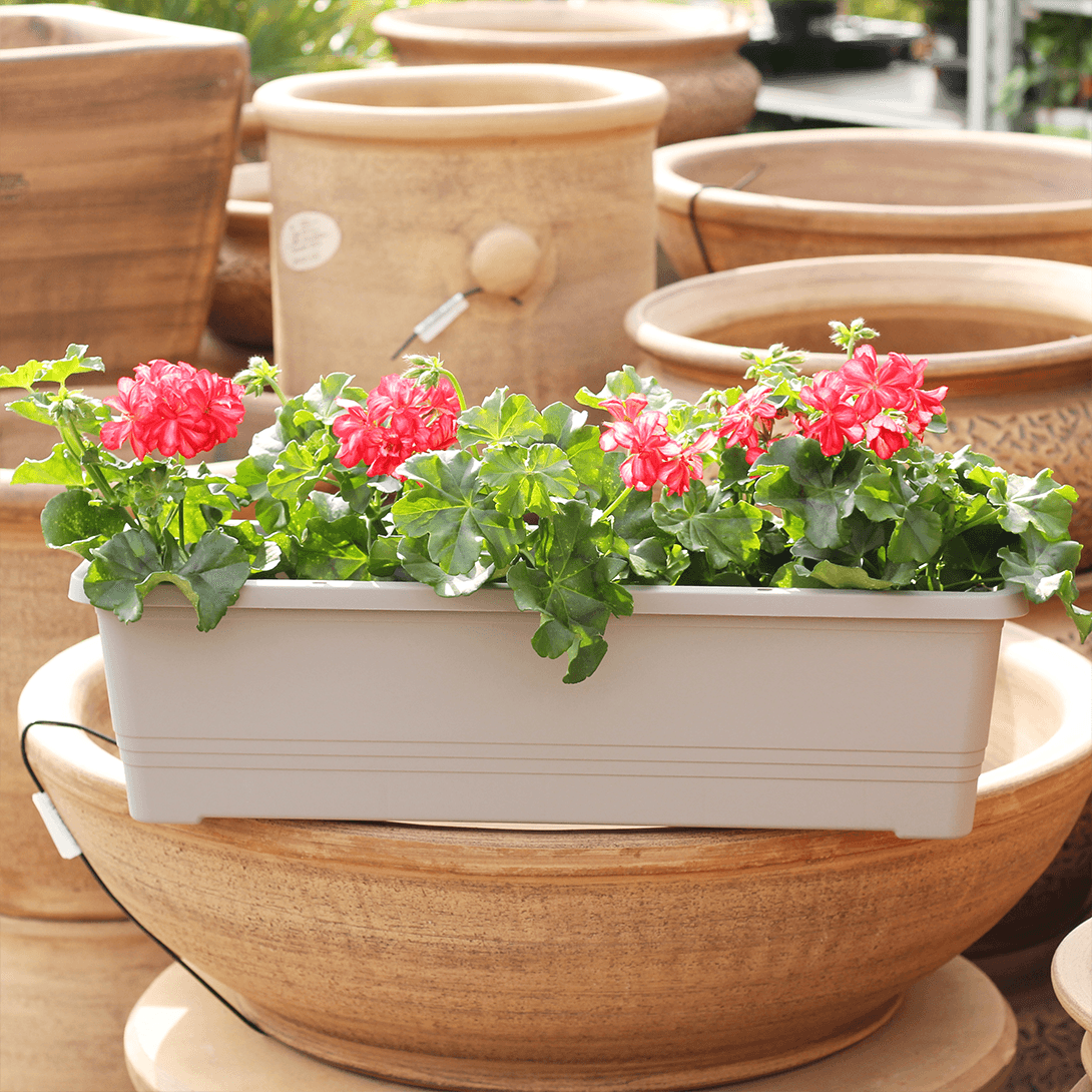 Truhlíky - Truhlík samozavlažovací BERGAMOT 60cm taupe