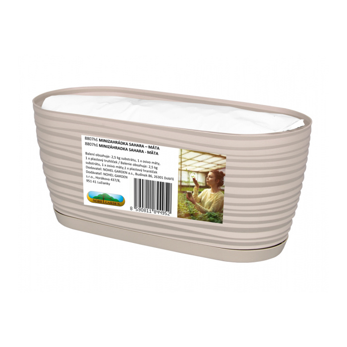 Osivo - Truhlík ZAHRÁDKA SAHARA máta + substrát hnědo-šedá 27cm