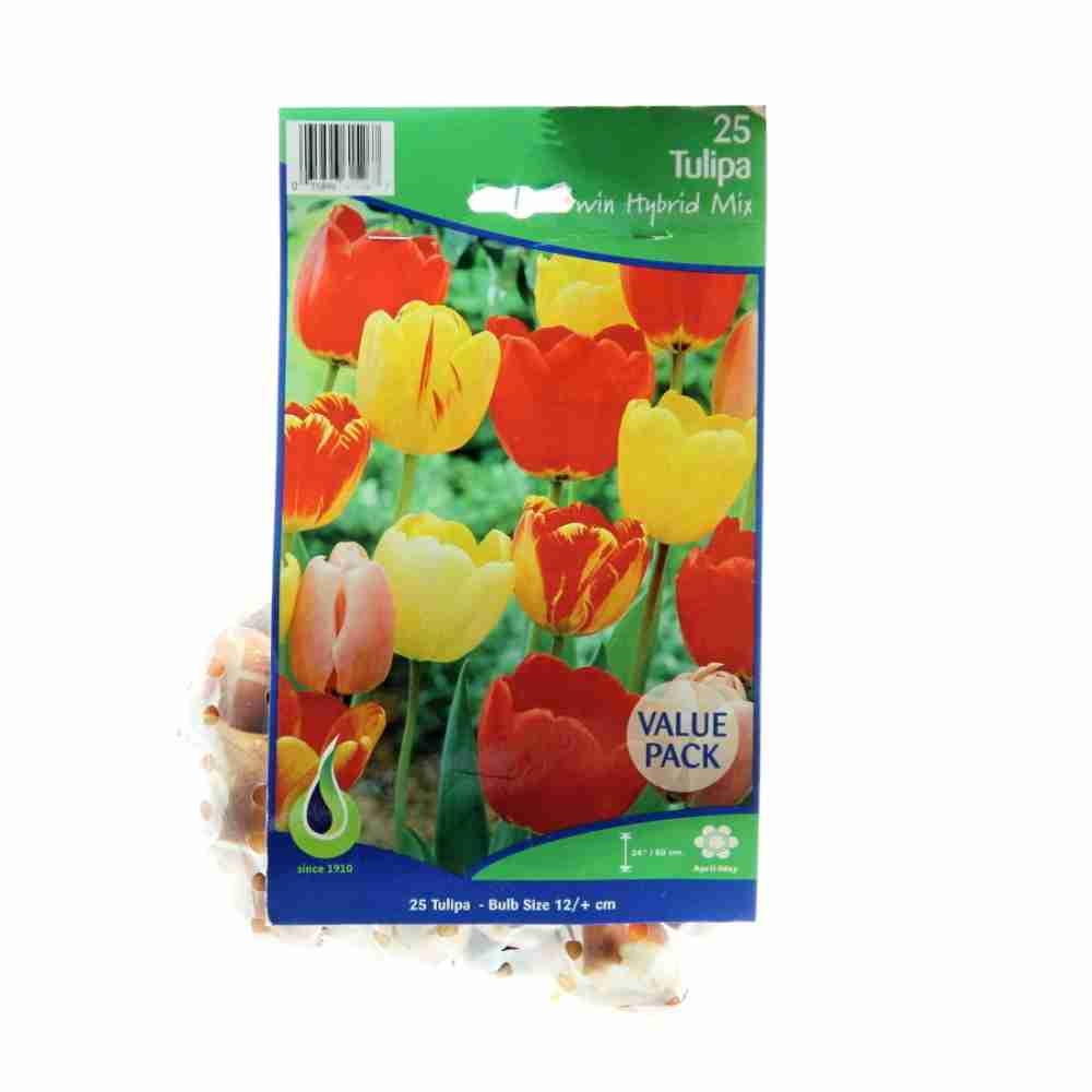 Tulipány - Tulipán Darwin Hybrid Mix 25ks