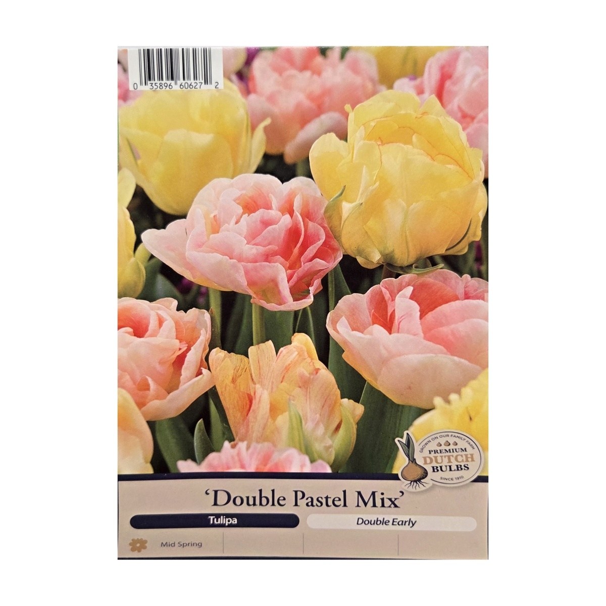 Cibuloviny - Tulipán Double Pastel Mix 5ks