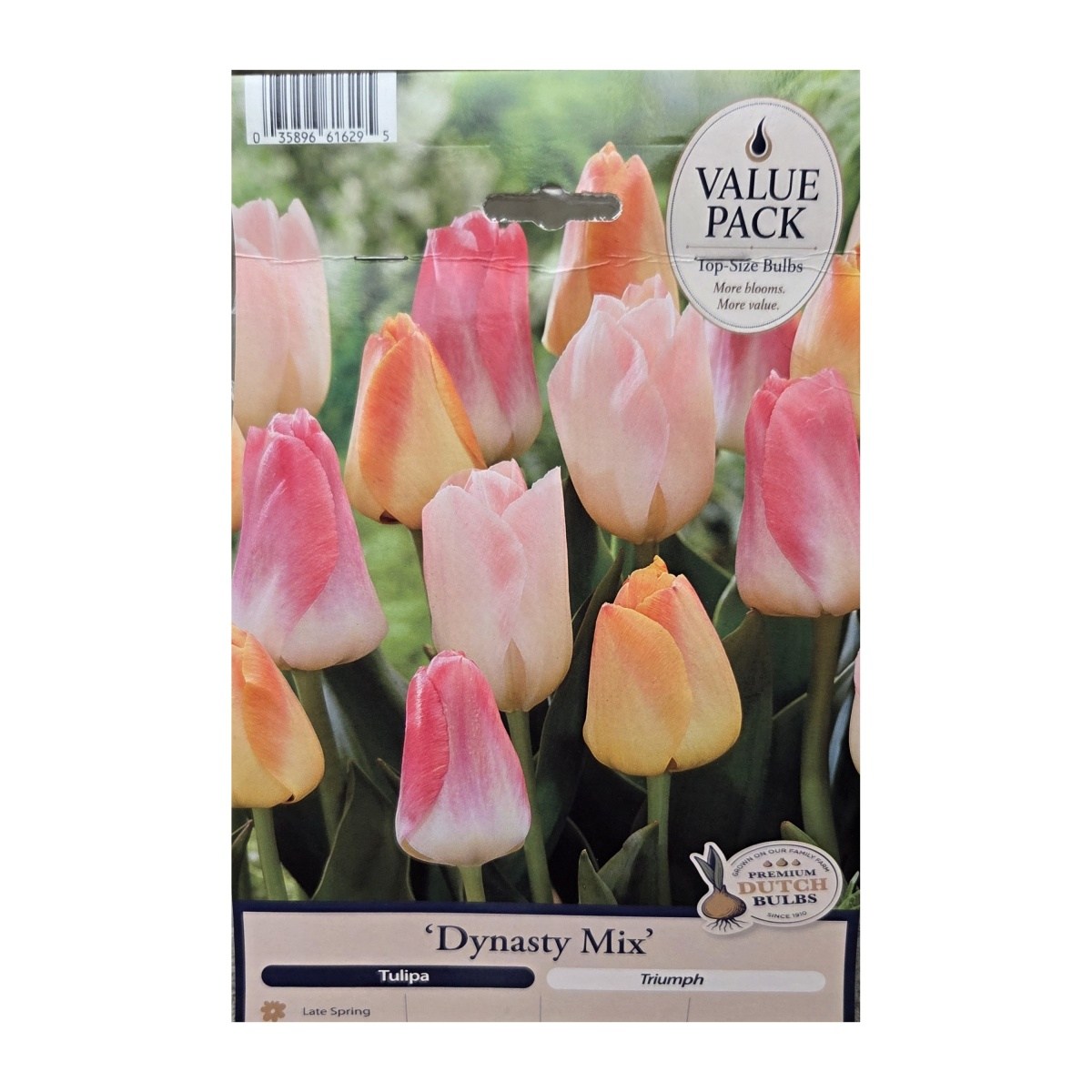 Tulipány - Tulipán Dynasty mix 25ks