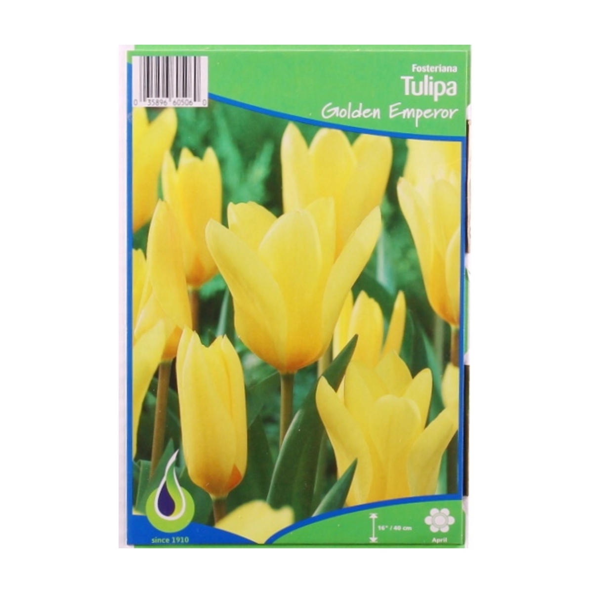 Cibuloviny - Tulipán Golden Emperor 5ks