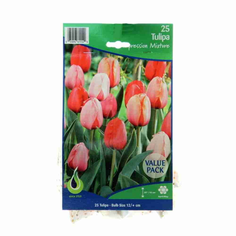 Rostliny - Tulipán Impression mix 25ks