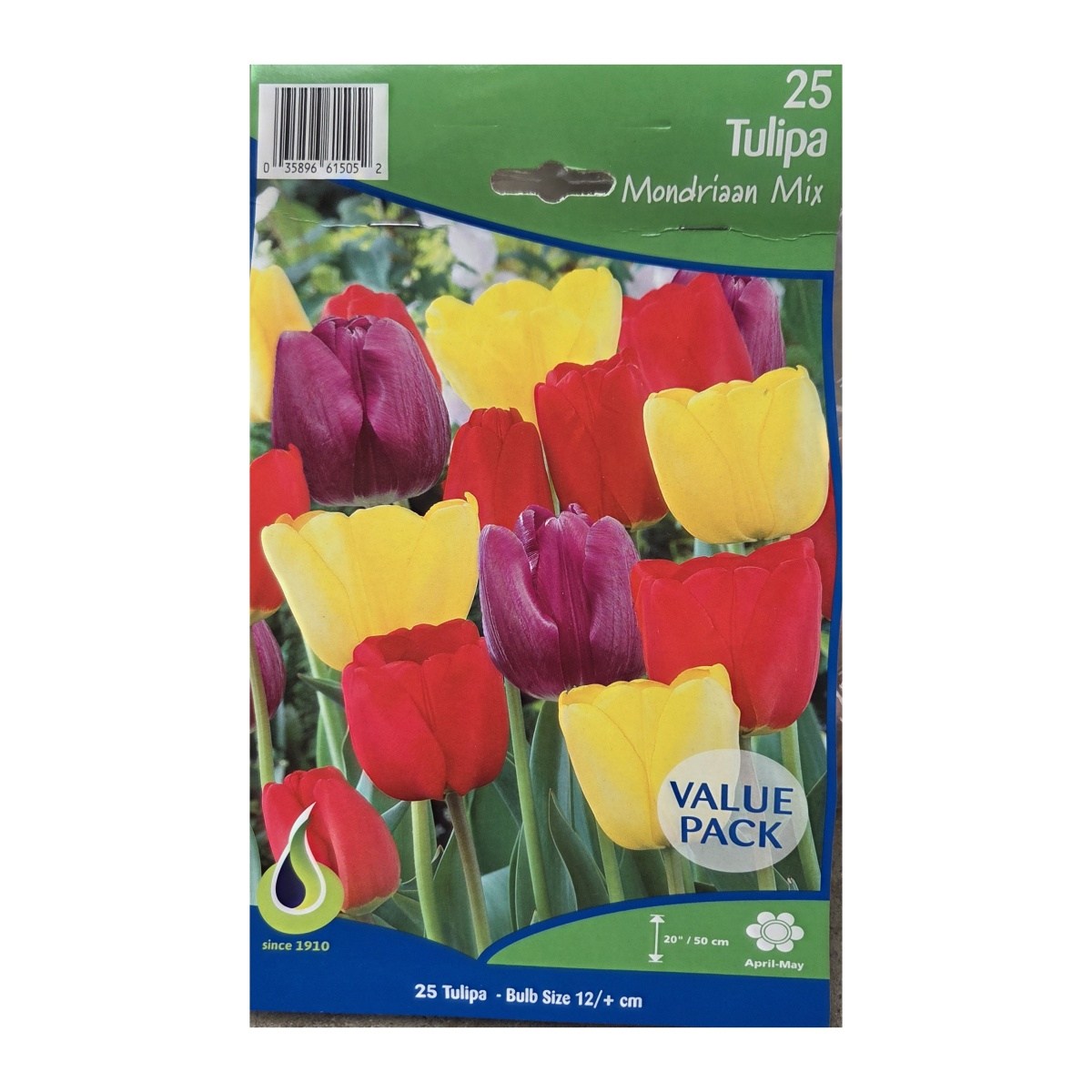 Tulipány - Tulipán Mondriaan mix 25ks