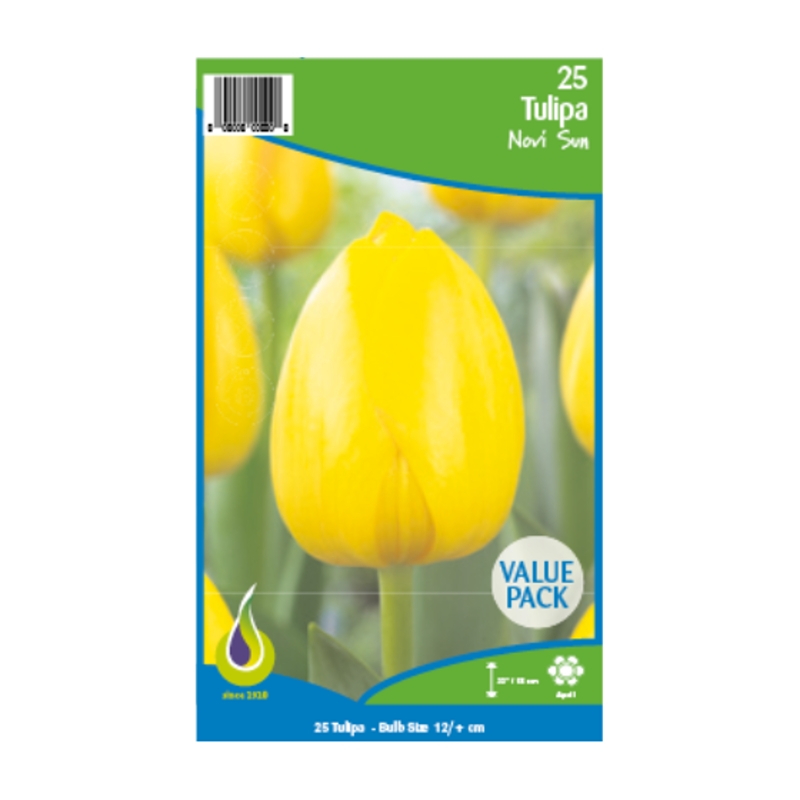 Tulipány - Tulipán Novi Sun 25ks