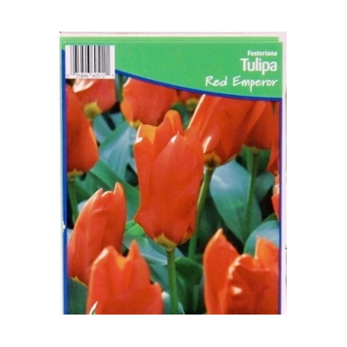 Tulipány - Tulipán Red Emperor 5ks