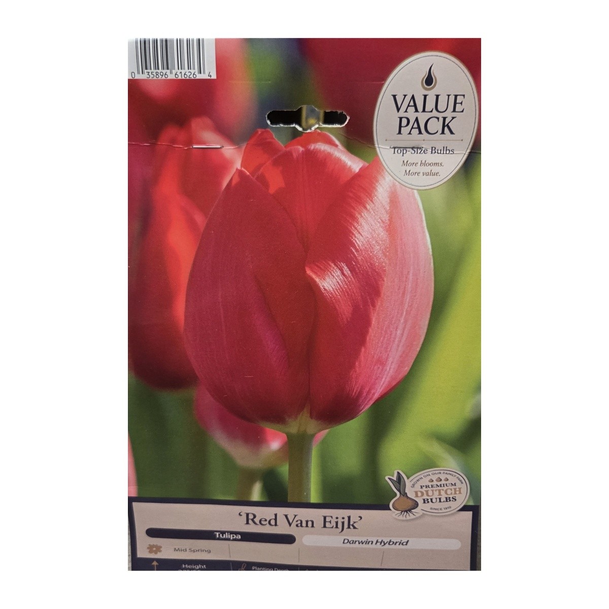 Tulipány - Tulipán Red van Eijk 25ks