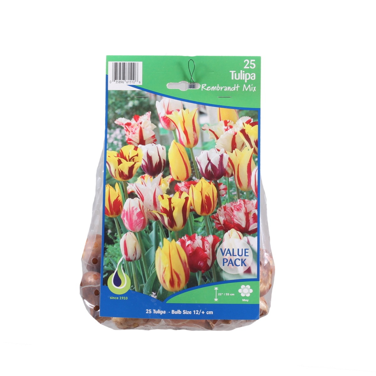 Rostliny - Tulipán Rembrandt mix 25ks