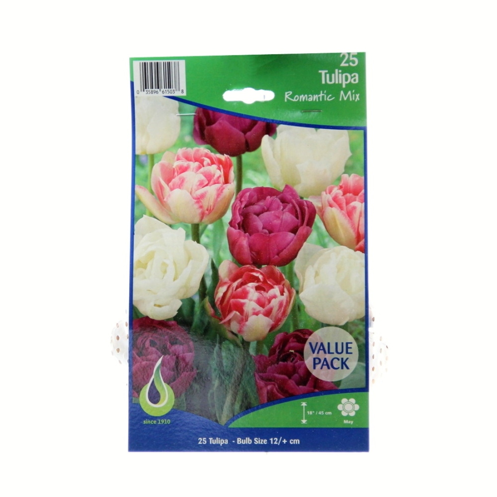 Tulipány - Tulipán Romantic mix 25ks