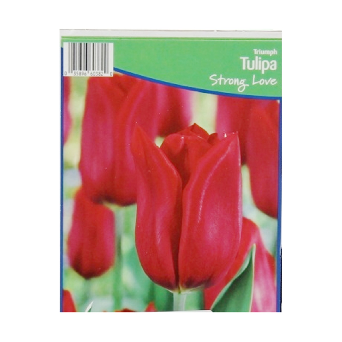 Cibuloviny - Tulipán Strong Love 5ks