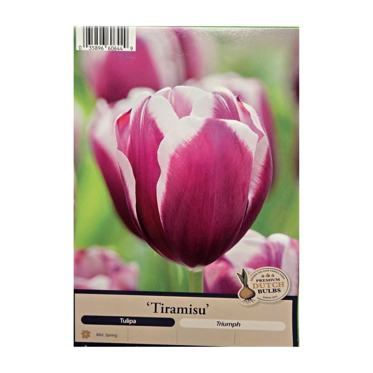 Cibuloviny - Tulipán Tiramisu 5ks