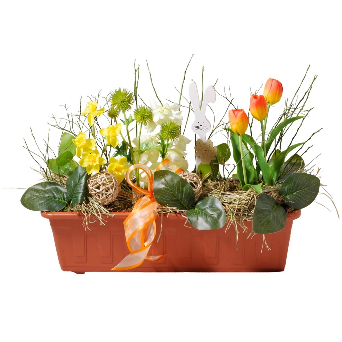 Jarní truhlíky s cibulovinami - Tulipánové probuzení aranžovaný truhlík 50cm