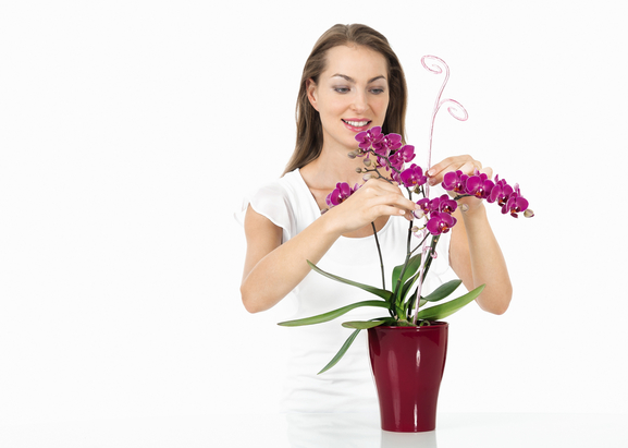 Tyčka Scheurich k orchideji 085/04 acryl-0