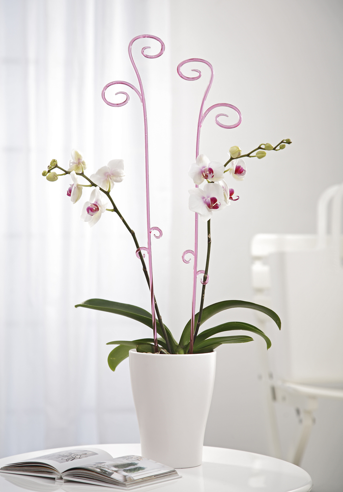 Tyčka Scheurich k orchideji 085/04 acryl-1