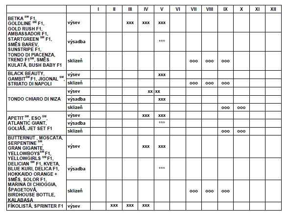 Tykev cuketa Black Beauty tm zel.-0
