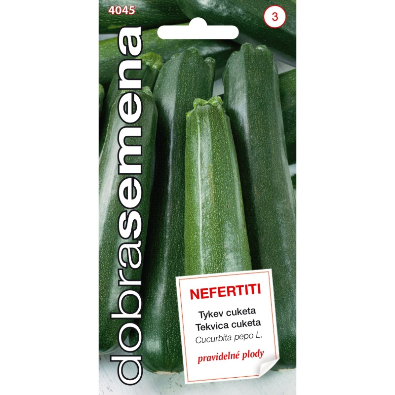 Osivo zeleniny - Tykev cuketa NEFERTITI zelená (DS)
