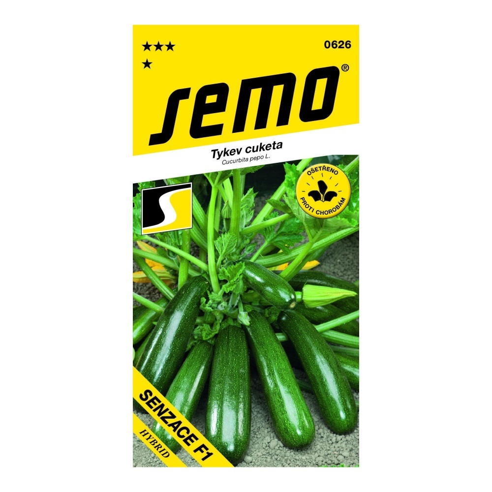 Osivo zeleniny - Tykev cuketa Senzace F1