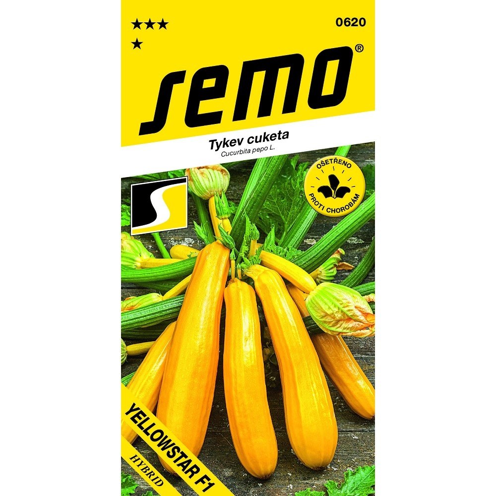 Osivo zeleniny - Tykev cuketa Yellowstar F1