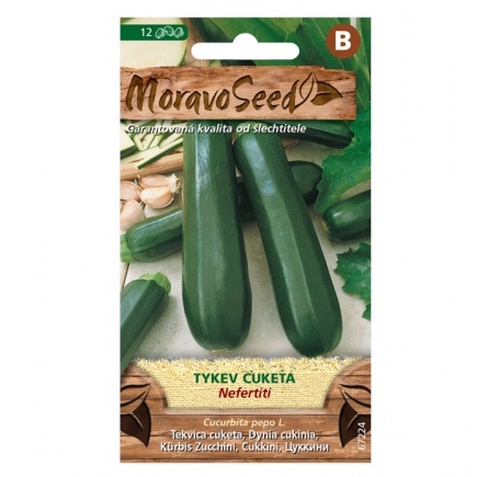 Osivo zeleniny - Tykev cuketa zelená NEFERTITI (MS)